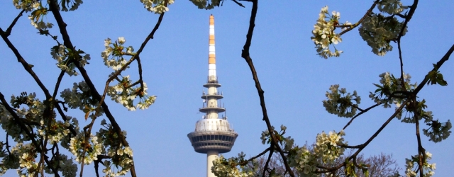 Der Luisenpark – grüne Oase in der Arbeiterstadt Mannheim