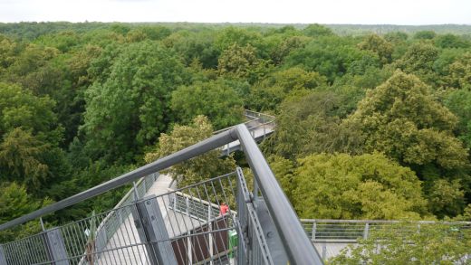 Vom Baumturm abwärts