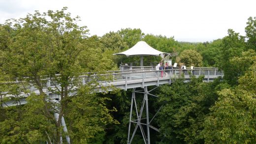 Die Plattform "Der vergessene Wald"