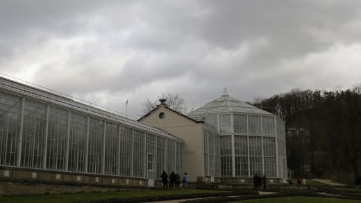 Das Palmenhaus